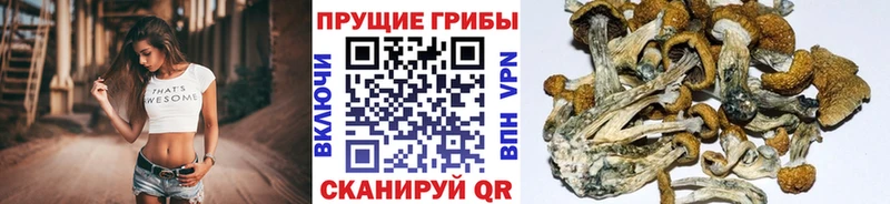 omg зеркало  Белёв  Галлюциногенные грибы ЛСД  продажа наркотиков 